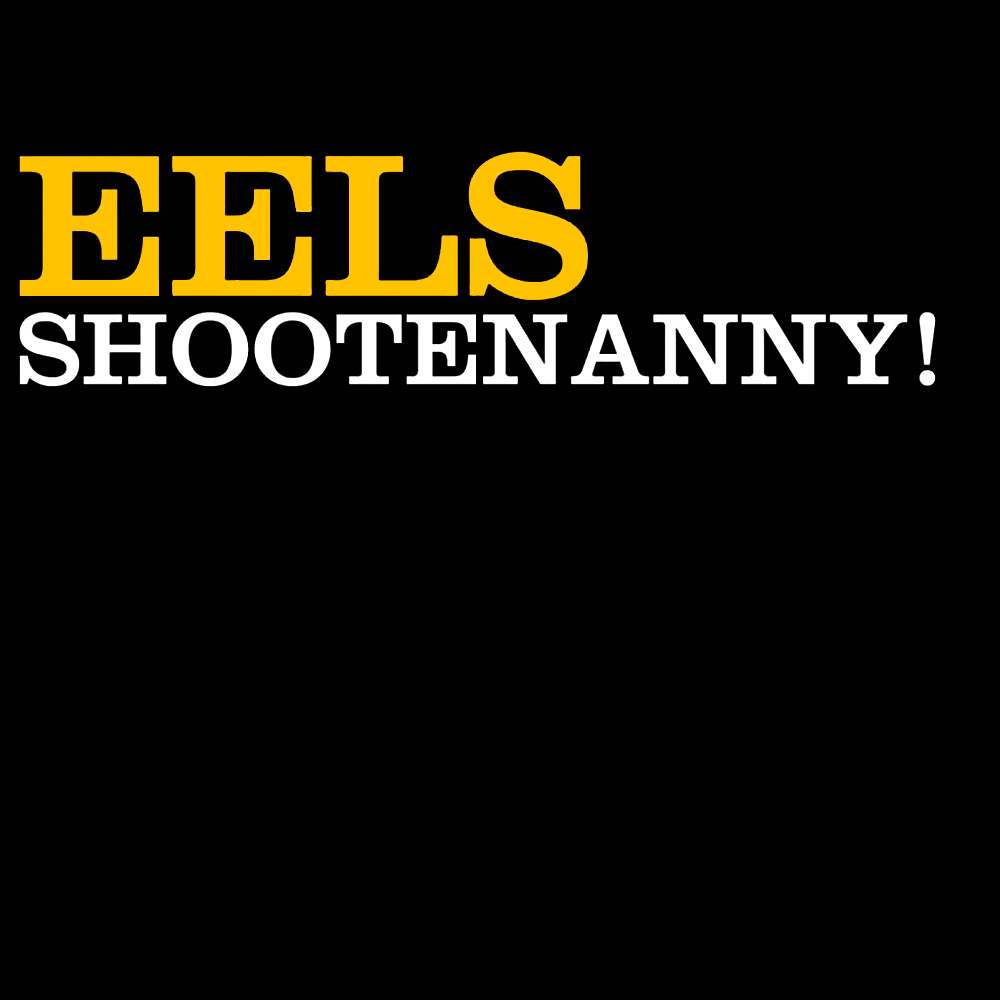 Eels Shootenanny - Vinyl Record, Music Zone - Cork, Ireland