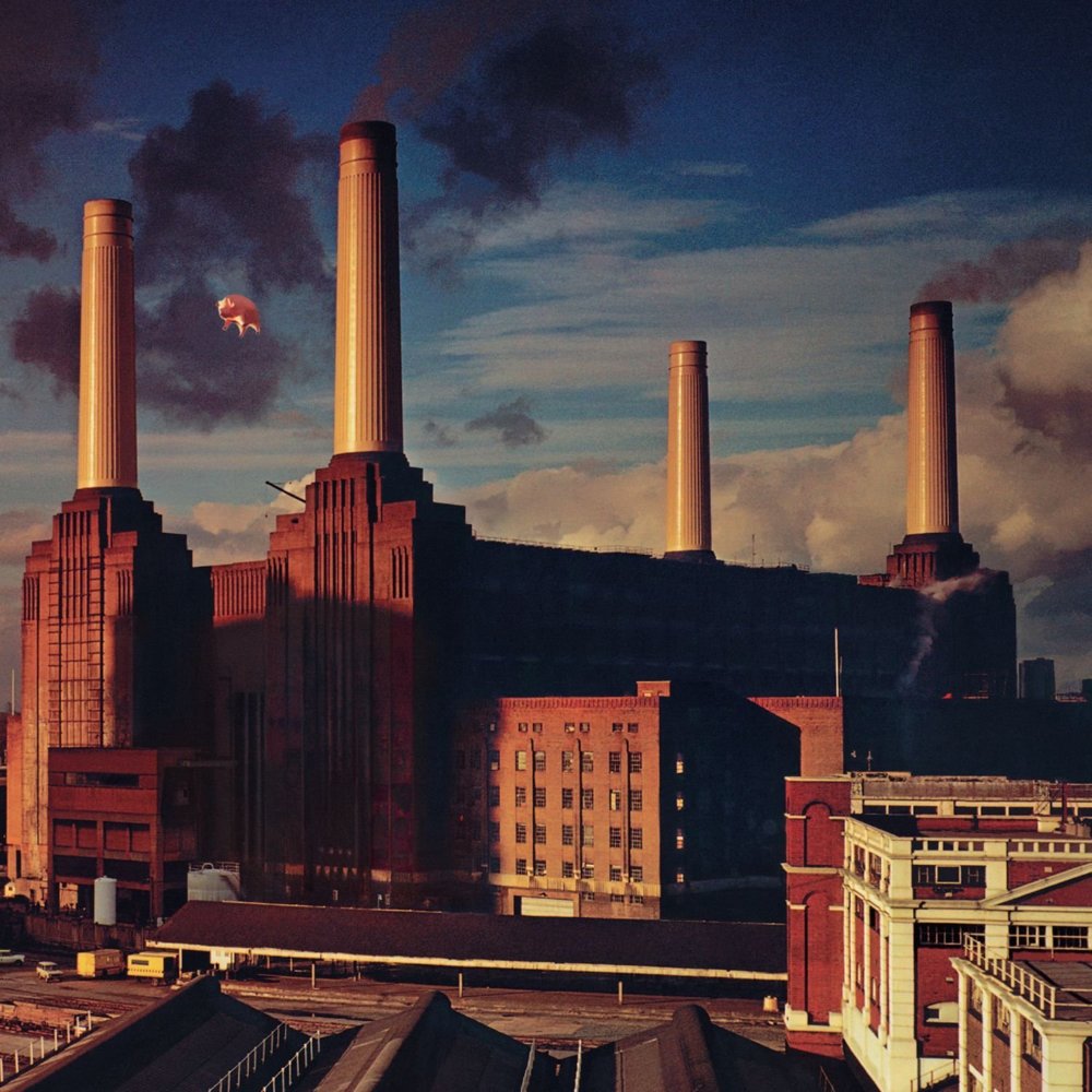 Pink Floyd - Animals (EP) | MusicZone | Vinyl Records Cork | Vinyl ...