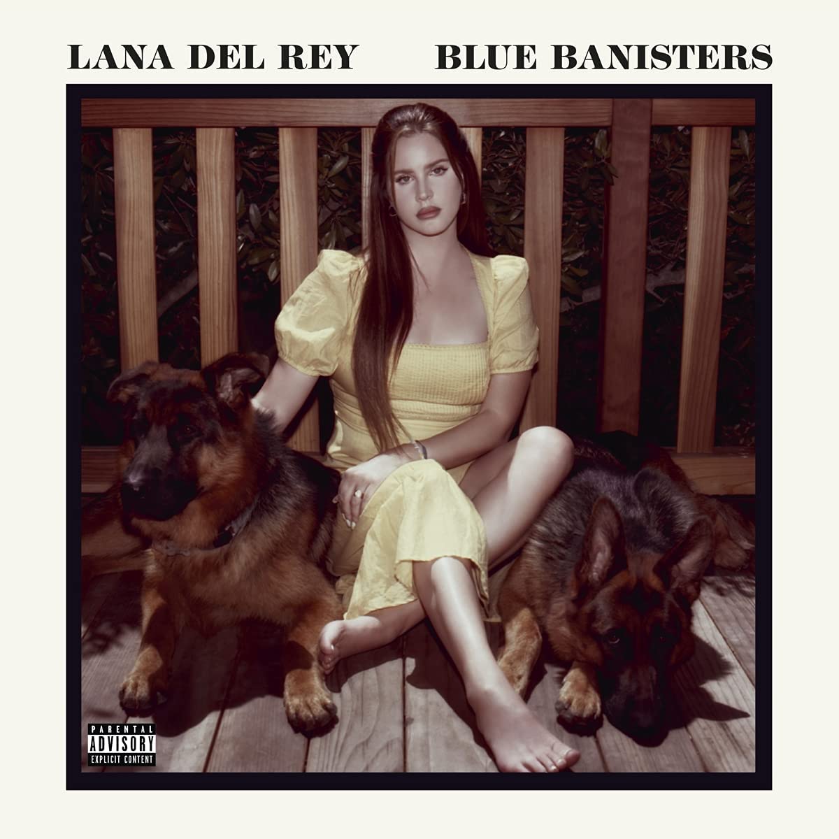 Lana Del Rey - Blue Banisters (Vinyl) | MusicZone | Vinyl Records Cork 